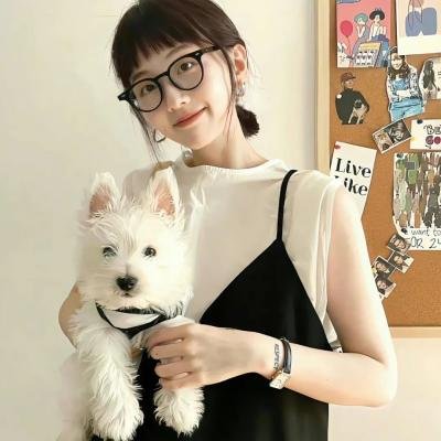 沙漠活宝